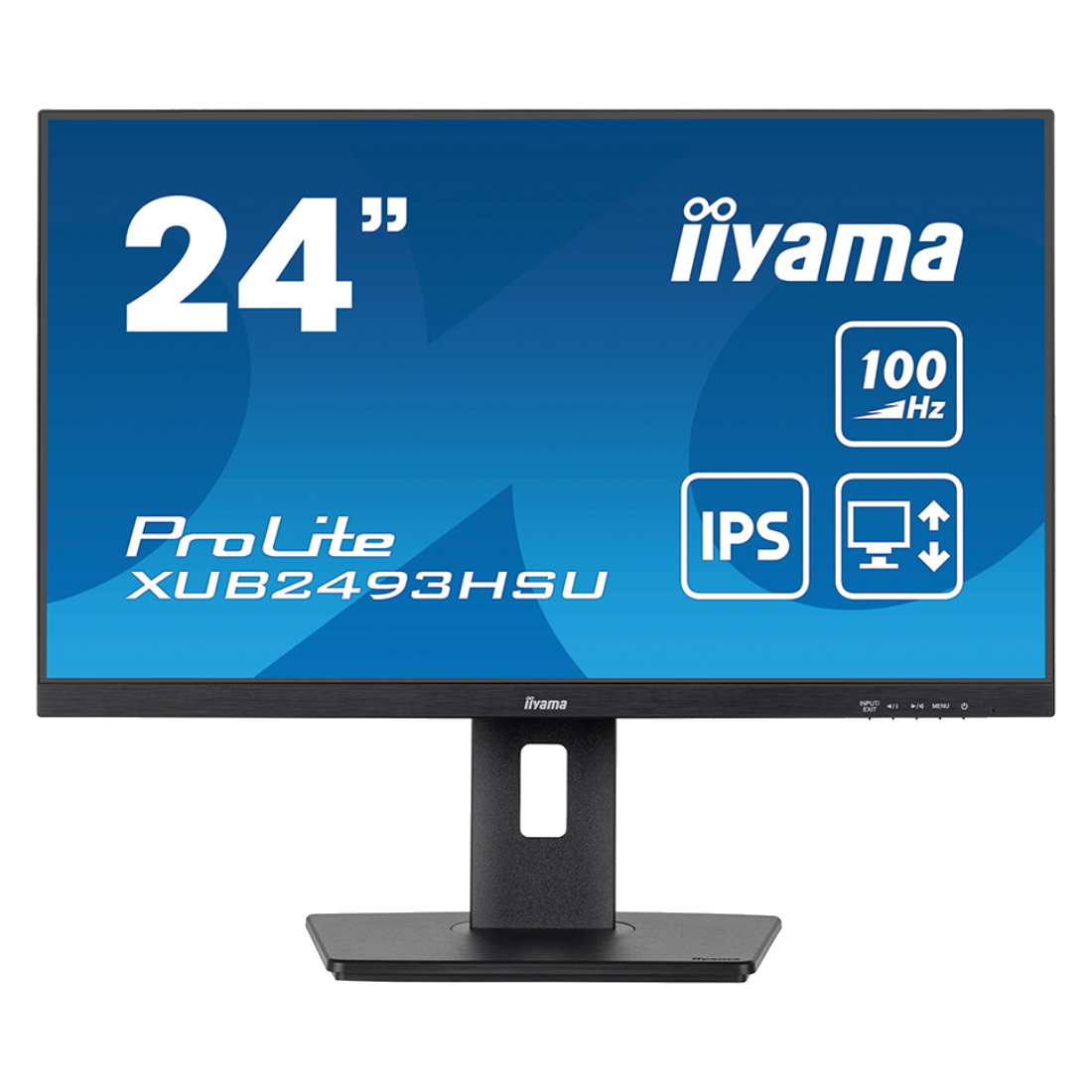 Монитор iiyama ProLite PL2493HS XUB2493HSU-B7 A 23.8"