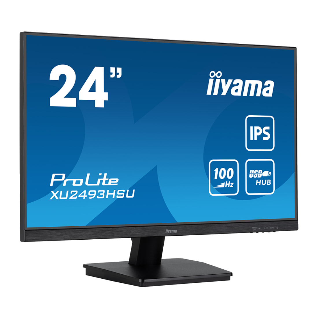 Монитор iiyama ProLite PL2493HS XU2493HSU-B7 A 23.8"