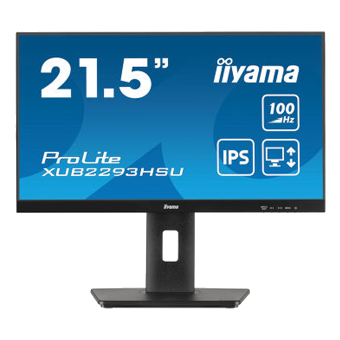 Монитор iiyama ProLite PL2293H XUB2293HSU-B7 21.5"